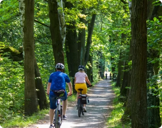 Guests biking through nature
