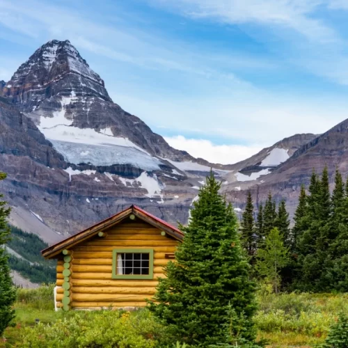 Omnirel Bay gallery image 4