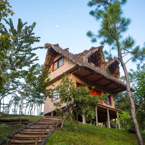 Omnirel Bay gallery image 5